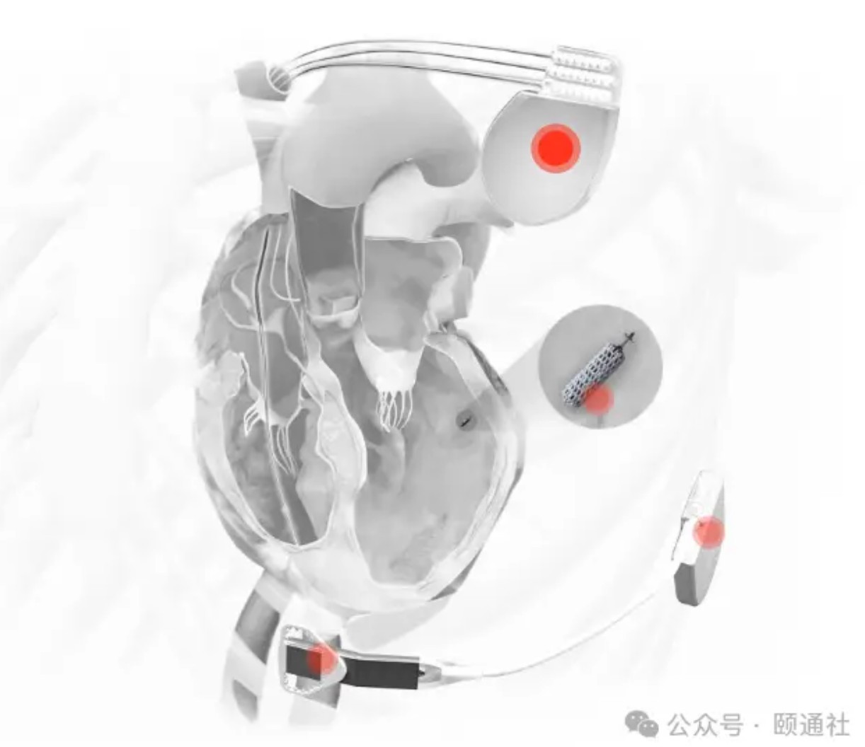 QQ20250626-084445.jpg